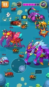 Rules of Insect(昆虫法则)