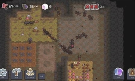 蚁群模拟器2免广告版 蚁群模拟器2免广告版