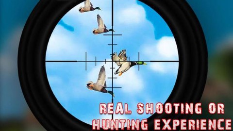 鸭子狩猎3D手游