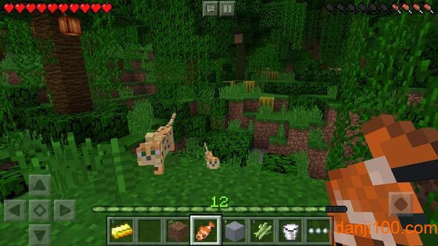 ����鿴��ͼ