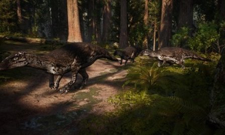 泰坦之路（国际服）安装器