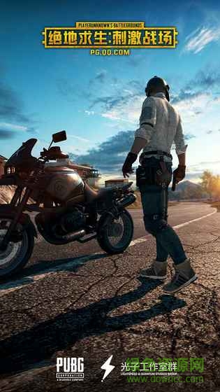 绝地求生刺激战场国际服手游下载