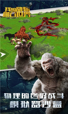 ����鿴��ͼ