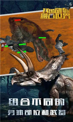 ����鿴��ͼ