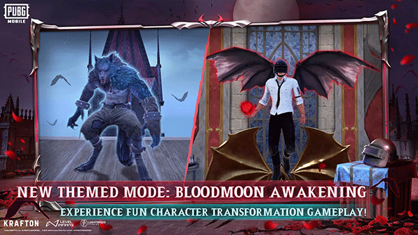 ����鿴��ͼ