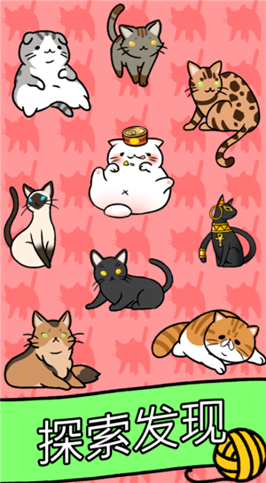 猫咪公寓2026免费版