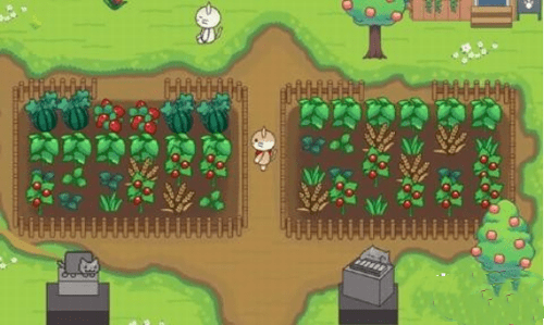 猫咪之森(Cat Forest)