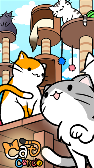猫咪公寓2026免费版
