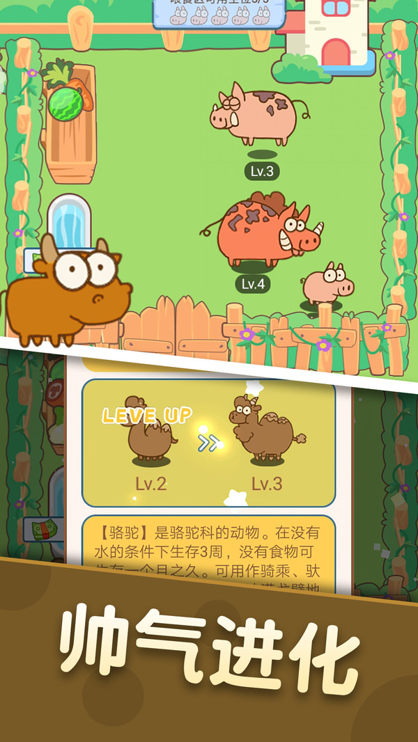 ����鿴��ͼ