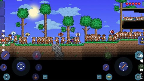 ����鿴��ͼ