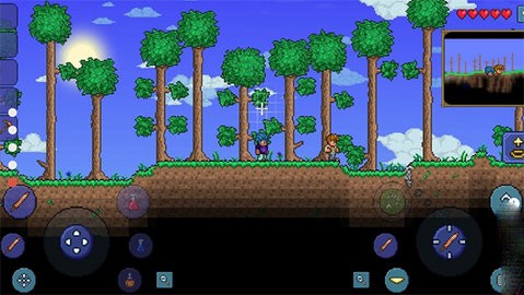 ̩������������Ʒ�棨��������