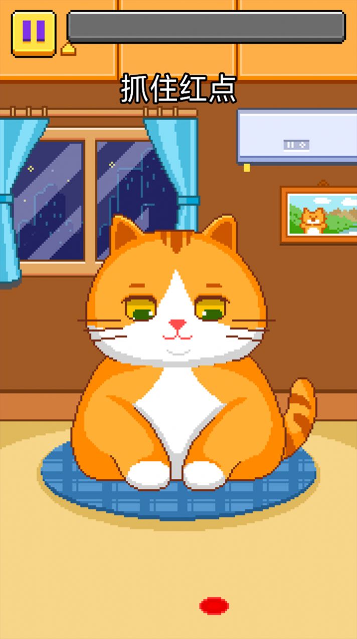 猫猫来了 猫猫来了