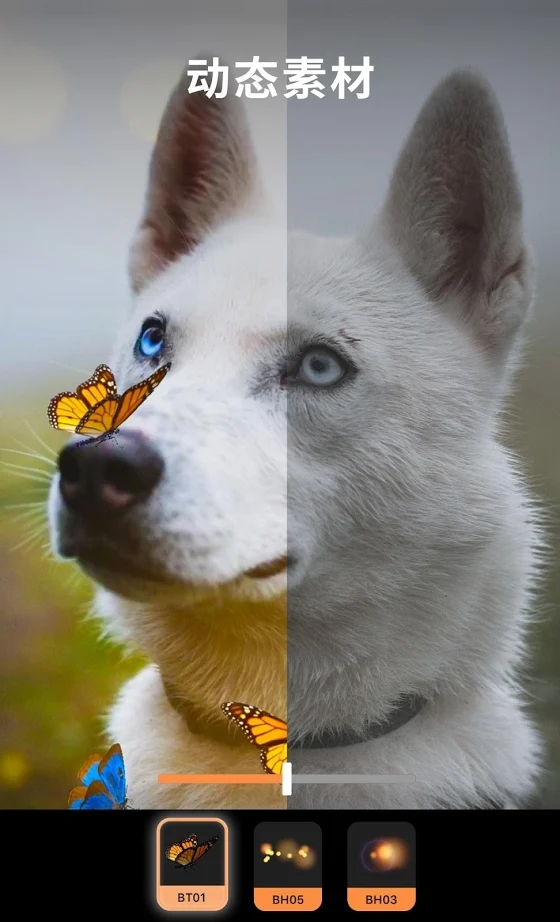 动图制作软件最新版2026