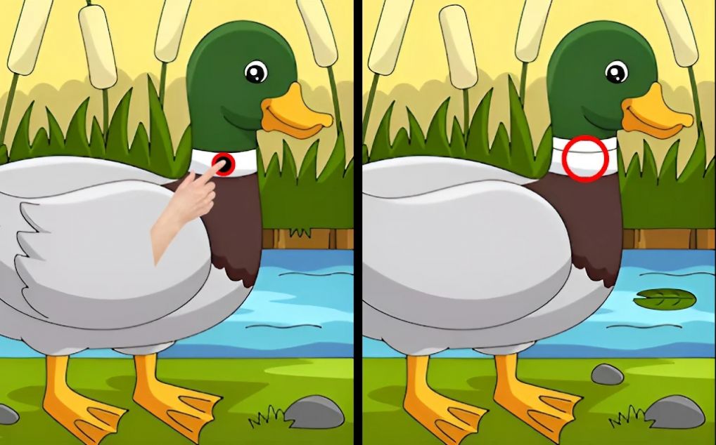 差异寻找并发现(Differences find and spot them) 差异寻找并发现(Differences find and spot them)