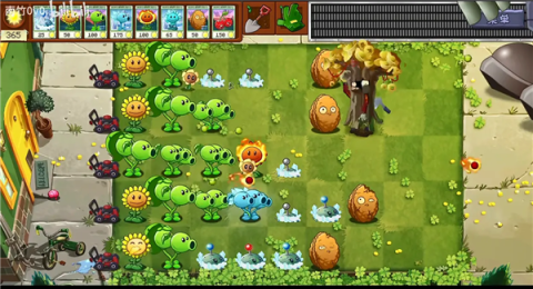 植物大战僵尸魔幻版游戏