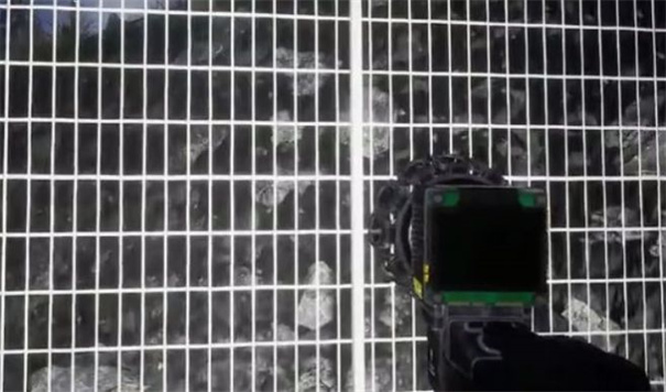 诡异动物园2 诡异动物园2