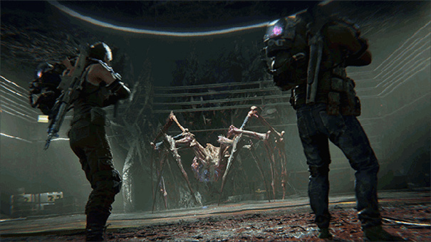 七日世界国际服