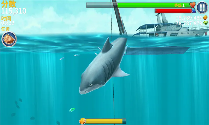 ����鿴��ͼ