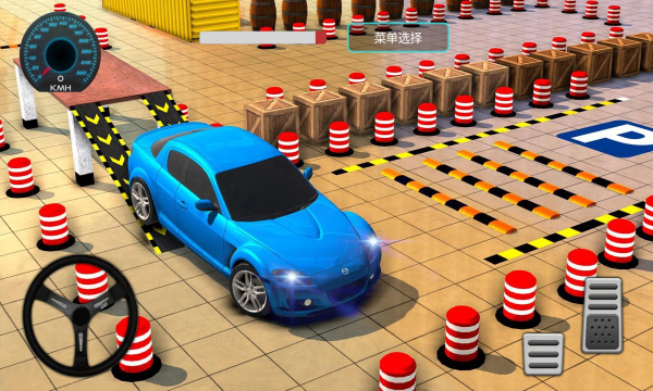 驾校科考模拟器