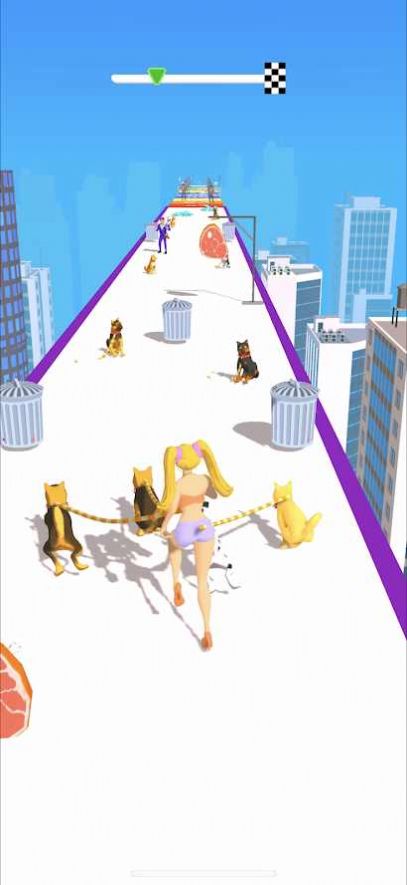 Dog Walker(遛狗赛跑) Dog Walker(遛狗赛跑)