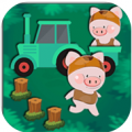 捉小猪游戏安卓版