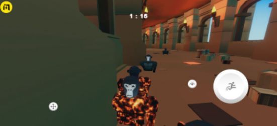 大猩猩追逐 大猩猩追逐