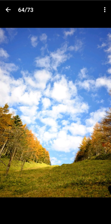 尼康影像馆官方手机版下载(NIKON IMAGE SPACE)