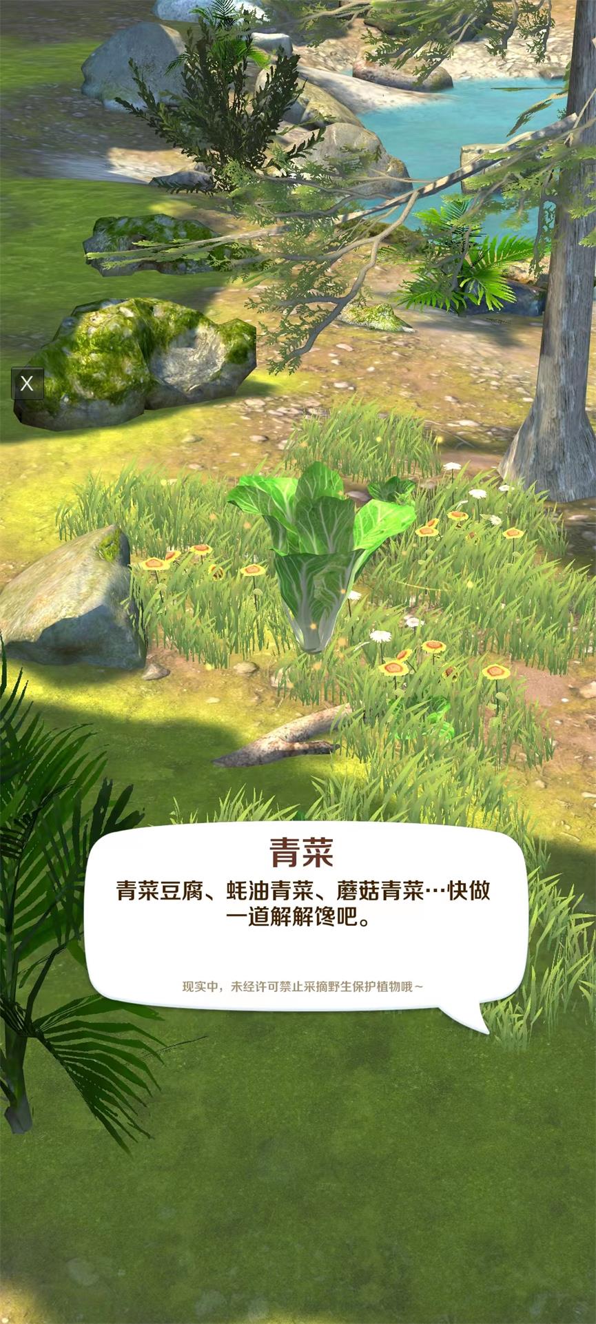 赶山赶海开饭店