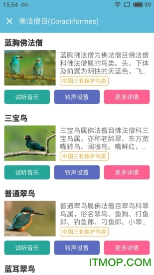 画眉鸟叫声大全