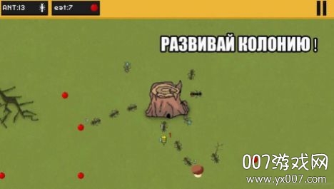 ants(蚂蚁领地最新版)
