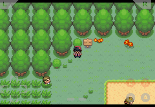 口袋妖怪神兽领域内置菜单