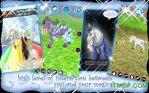 niconico动画网页版官网版