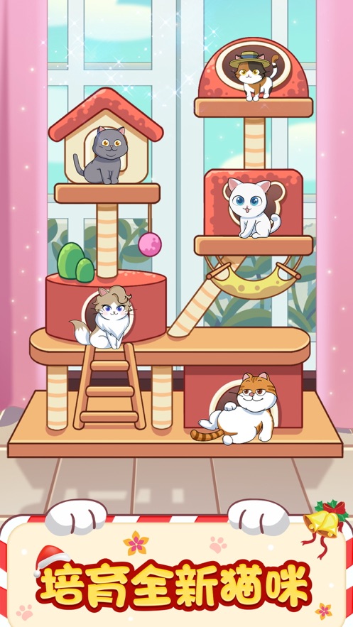 猫咪公寓 猫咪公寓