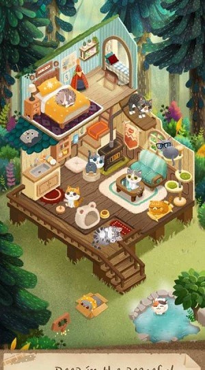 猫咪的秘密森林 最新版