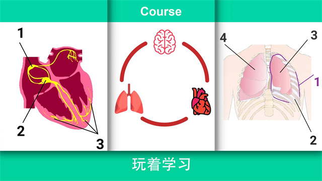 康复公司医疗模拟器汉化版