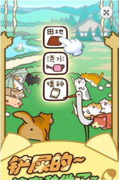 猫咪田园 猫咪田园