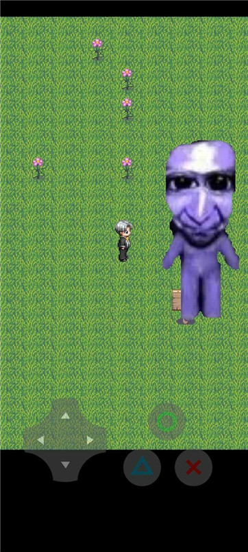 ����鿴��ͼ