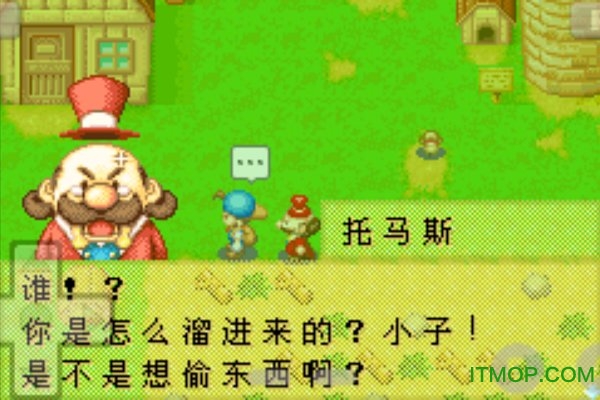 牧场物语矿石镇的伙伴们