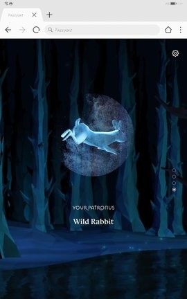 WizardingWorldAPP(霍格沃茨分院测试)