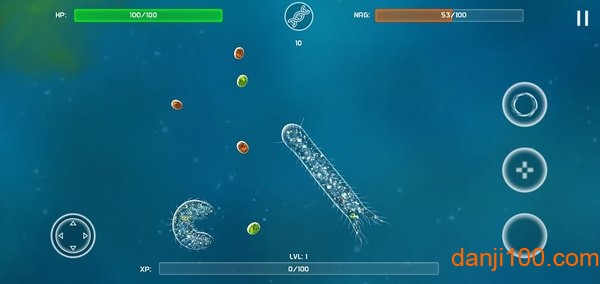 孢子的起源 孢子的起源