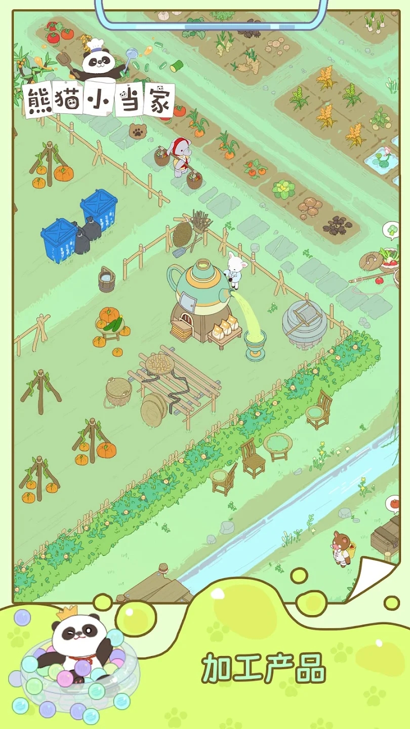 熊猫小当家 熊猫小当家