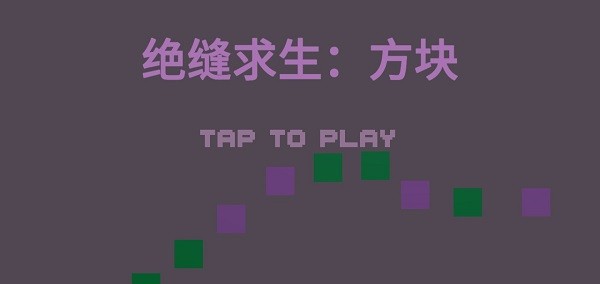 绝缝求生：方块