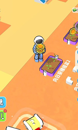 我的月球超市 我的月球超市