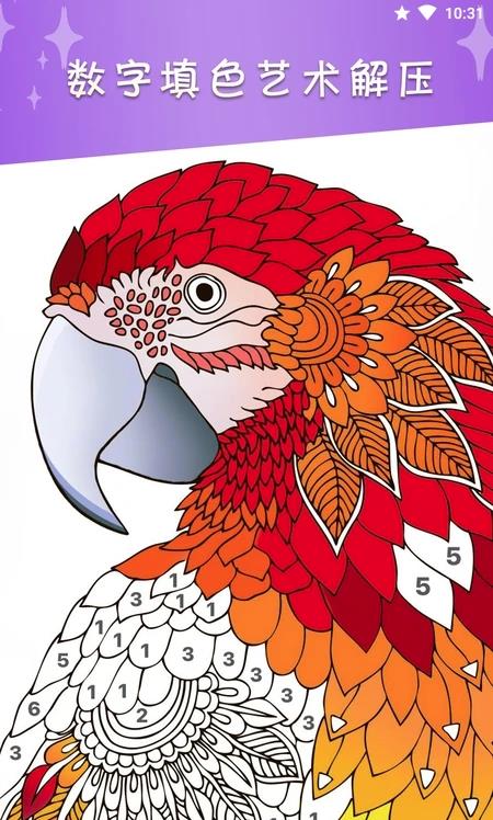 ����鿴��ͼ