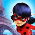 瓢虫少女游戏安装器