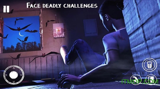 艾米丽救援任务 艾米丽救援任务