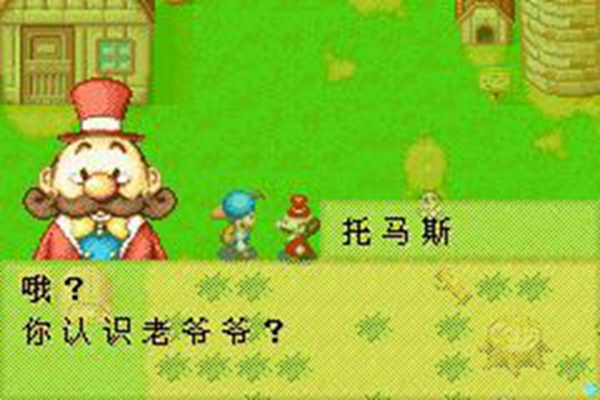 gba模拟器牧场物语矿石镇的伙伴们