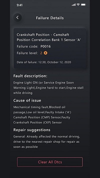 advancer本田冠道