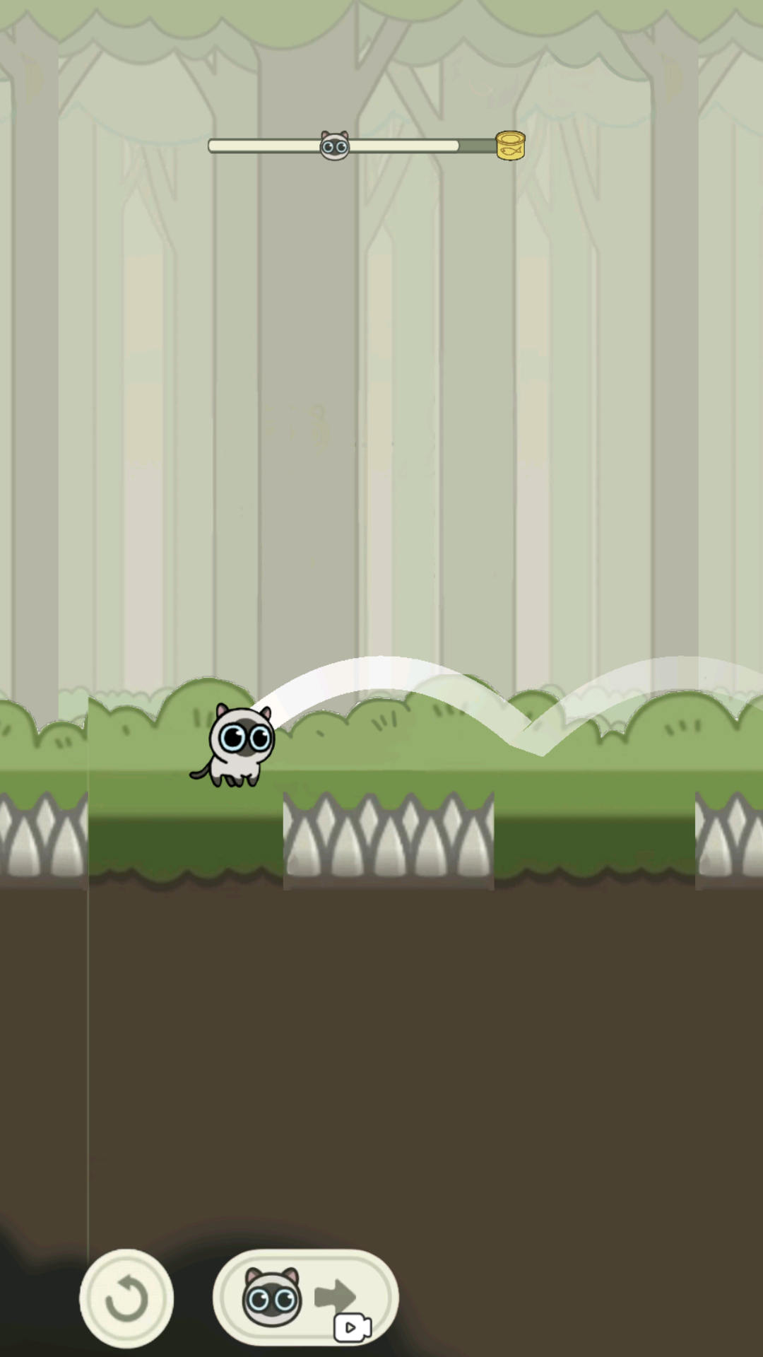 丛林冒险猫 丛林冒险猫