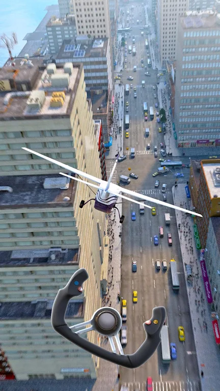 疯狂的飞机着陆游戏(Crazy Plane Landing)